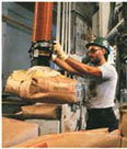 vacuum hoist